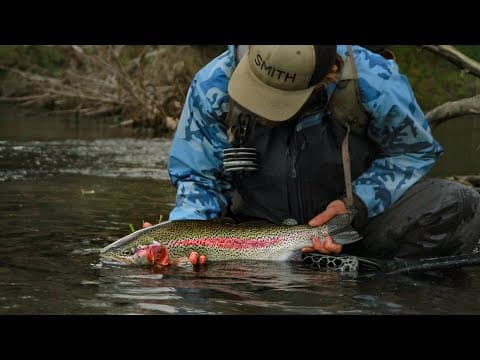 Big Fish Small Stream. Sight fishing trout with mice.