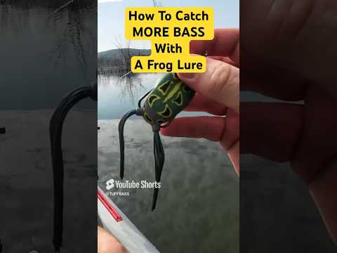 How To Catch MORE FISH With A Topwater Frog Lure!