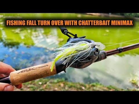 Fishing Z-Man Chatterbait MiniMax In a Scummy Pond During the Fall Turnover