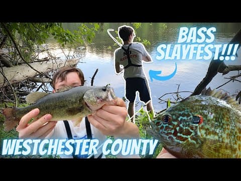 Westchester County BASS SLAYFEST (15+ fish caught!)