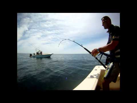 Gaeta 2012!!!!..tonno in canna.avi
