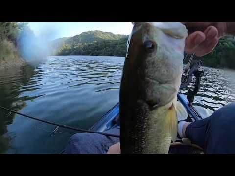 We Caught A TON Of Fish! (Surprising) | Fishing At Steven's Creek Reservoir