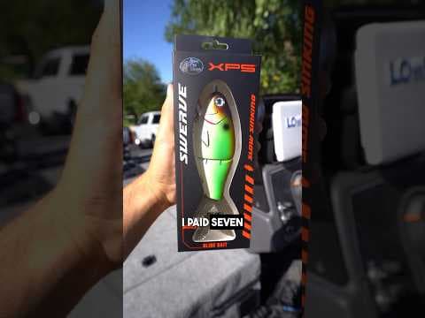 This Swimbait was only SEVEN DOLLARS?! #fishing