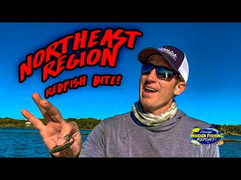 TOP Fishing Tips and Reports from St. Augustine, Florida