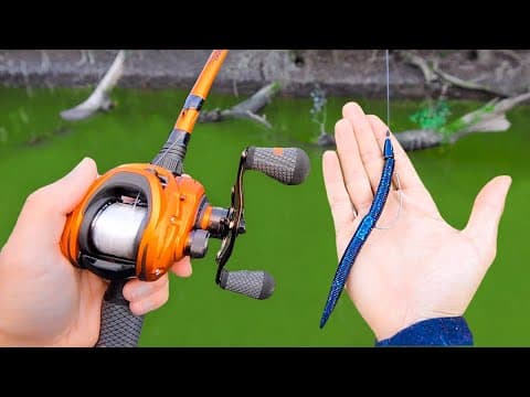 Catch 10x MORE Bass - THROW THIS! (Bass Fishing Tips)