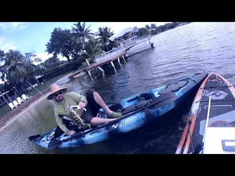 Peacock Bass Fishing  Westchester Lakes.