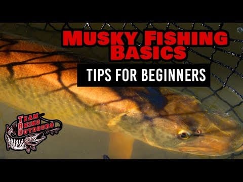 Musky Fishing Basics - Tips for Beginners