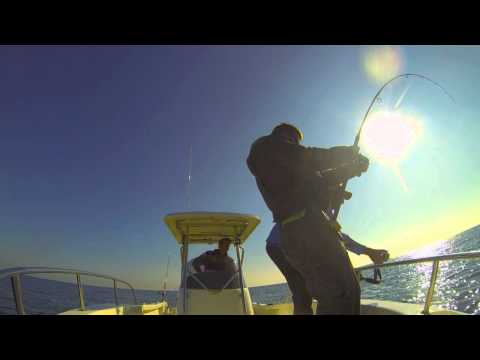 Salt water spinning for blue fin tuna in Ancona