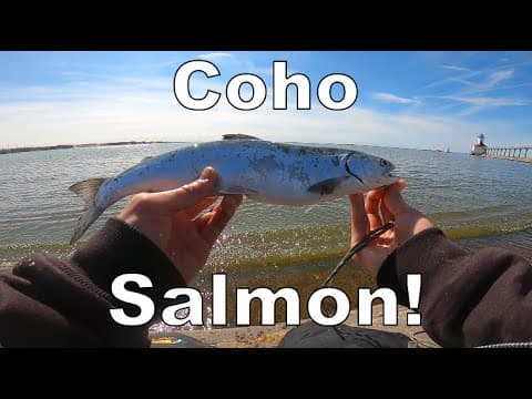 Salmon Fishing Indiana Lakefront!