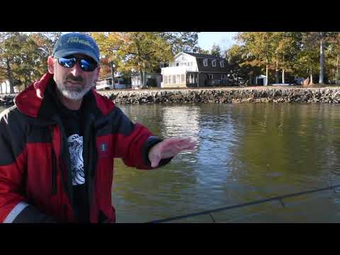 Chesapeake Bay Shallow Water Striped Bass Fishing Tips