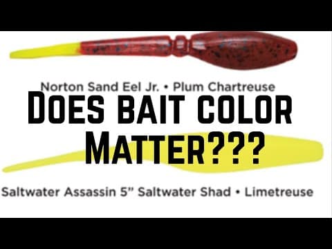 Does bait color Matter???