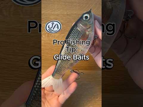 Glide Baits | 2 Pros and Cons #fishing #fishingtips #bassfishing #glidebait