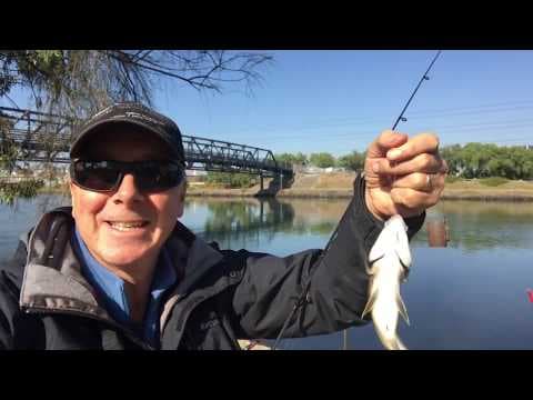 Maribyrnong River  bream and mullet...on a beautiful day