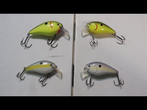 Strike king square bill vs Bass pro shops Xps square bill