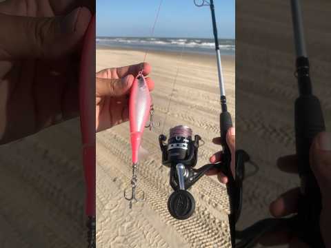 Top 5 Saltwater &amp; Inshore Baits! #salt #water #fishing #shortsvideo #explore #shorts #foryou #fyp