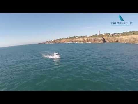 Deep sea fishing in Cascais | Pesca Desportiva em Cascais