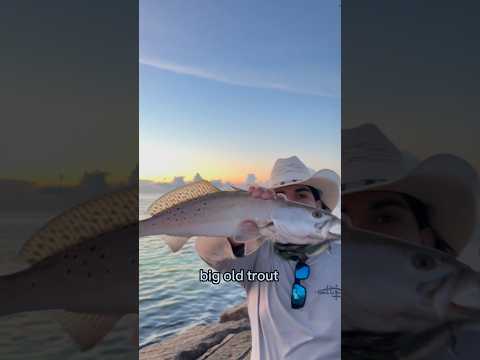 How to catch your limit in 5 minutes 👀 (speckled trout)