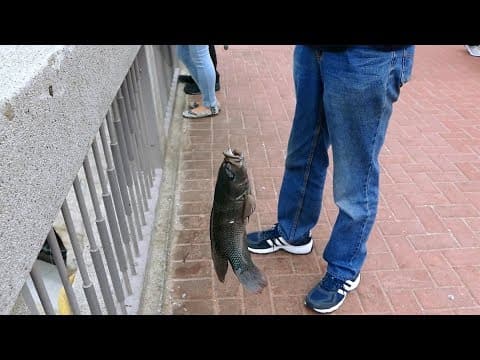 Catching fish out of drainage canal sewer in Hong Kong