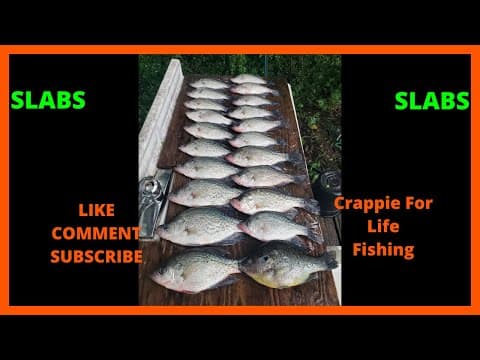 Crappie Fishing Lake Oconee