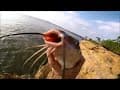 Grapevine Lake Catfishing! Sunset Point w/ Stink Bait