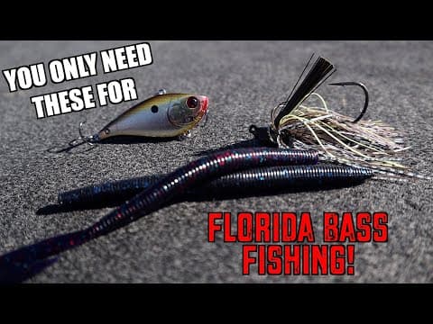 The 4 BEST Florida Bass Fishing Lures You NEED TO HAVE!