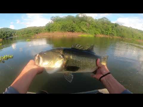 Lake El Salto Bass Fishing Deep in the mountains of Sinaloa Mexico.