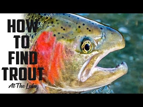 HOW TO FIND TROUT AT A LAKE | FISHING LOCATIONS | TROUT FISHING TIPS