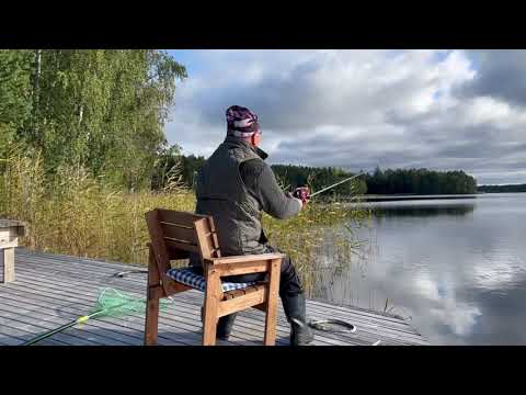 Finland, Villa Ollinniemi, Saimaa Lake 09/2023