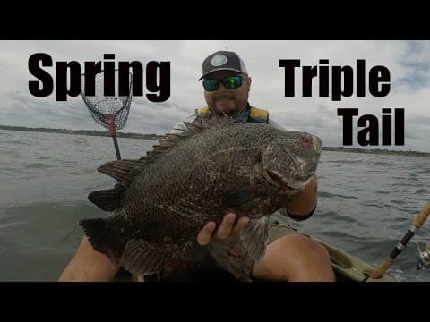 Kayak Fishing Stuart Florida Tripletail in Martin County