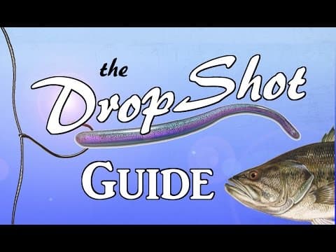 DROPSHOT Guide - The Most Effective Rig in Bass Fishing