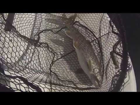 Downrigger trolling for Lake Trout - GoPro Underwater HD Lake George