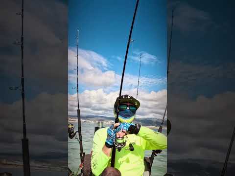 Losing a big one on the Daiwa Exist