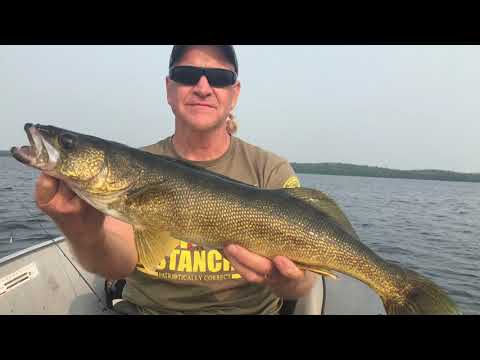 Walleye and Smallmouth bass fishing at Snowbank Lake, near Ely, Minnesota.