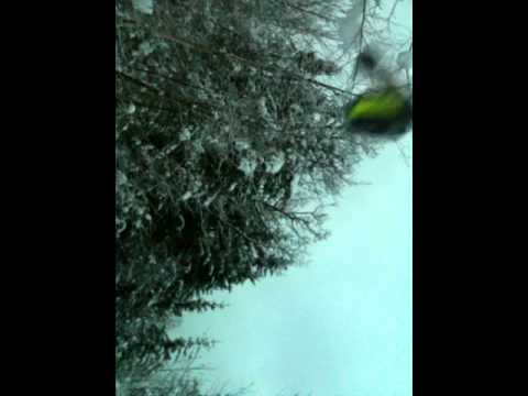 big swing teaser