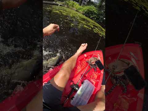 TOP CATCH OF 2021 | Massachusetts Fishing (10/10) #shorts