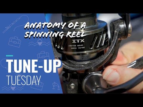 Tune Up Tuesday - Anatomy Of A Spinning Reel - Fishing Reels Dissected