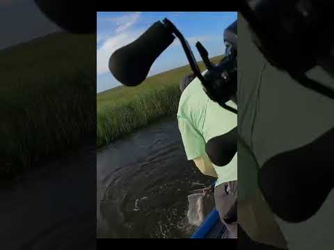 Falling Tides Make Finding Fish Easy!