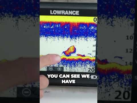 Bait or Predator? How To Read A Fish Finder | BoatUS #boatus #ishing #fishfinder