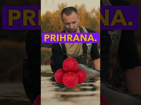 Top 10 Savjeta za Ljetni Ribolov Šarana! 🐟🌞 #carp #šaran #ribolov