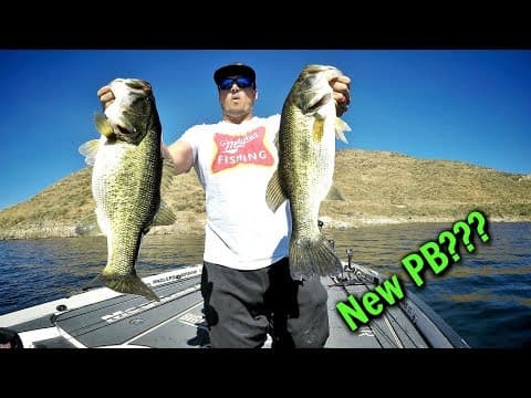 Catching GIANT California Bass!!! ft. BIG BASS DREAMS