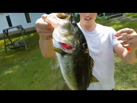 Bass Fishing Fayetteville, NC