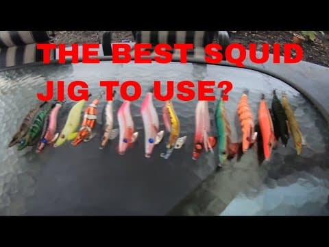 squid jigs - choosing the best squid jig - EGI tackle talk - southern calamari