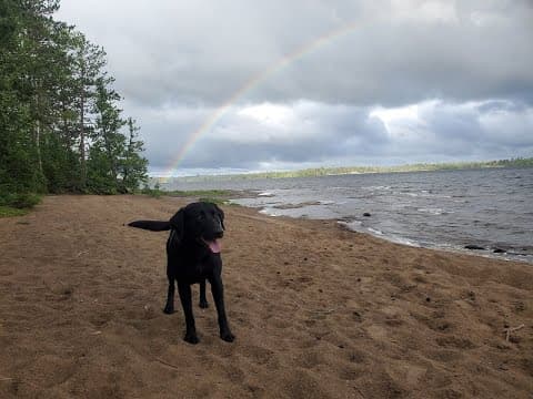 BWCA Alice Lake Trip 2022