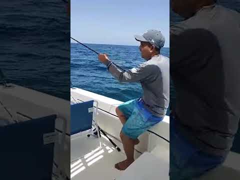 my first catch mahi2 on trolling october 2020 muscat