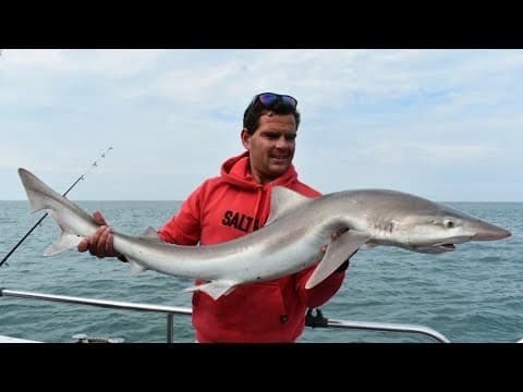 Sea Fishing, Boat Fishing, Somerset, England, Bristol Channel, Species Hunt,