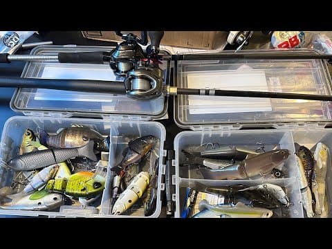 2024 Big Swimbait Collection And Setups