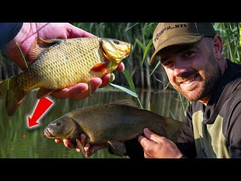 Fishing For CRUCIAN CARP &amp; TENCH - Traditional Float Fishing