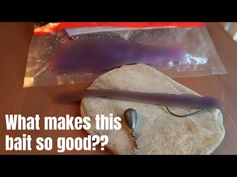 Why Is This Drop Shot Bait So Good!? In Depth Bait Review - 4.5&quot; Roboworm