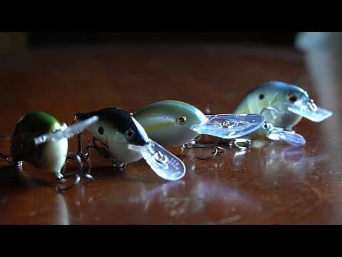 Top 5 Crankbaits For Bass 2019