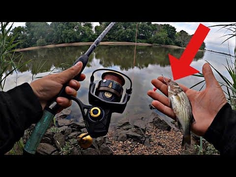 BIG baits For River GIANTS! // Summer Delaware River Fishing 2023